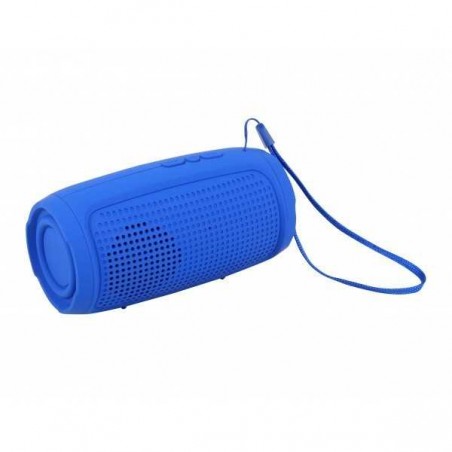 Haut Parleur Portable Bluetooth FD-2